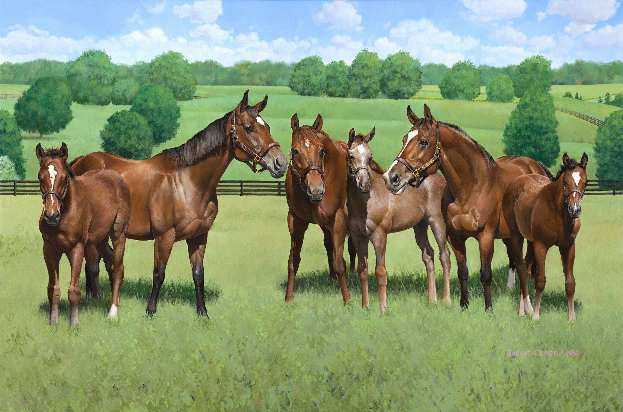 Mares  & Foals by Robert Clark, Artist